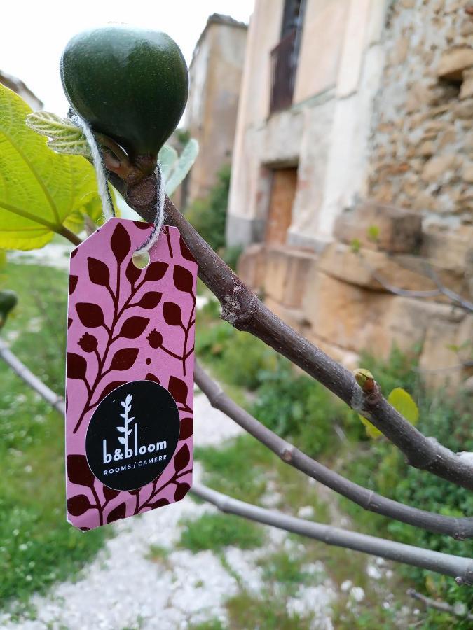 باليرمو Bandbloom المظهر الخارجي الصورة